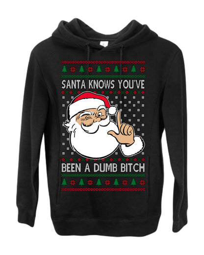 Santa Knows You've Been a Dumb Bitch Funny Vulgar Dirty Ugly Christmas Sweater Ugly Christmas Premium Side-Pocket Hoodie Sweatshirt