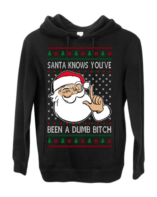 Santa Knows You've Been a Dumb Bitch Funny Vulgar Dirty Ugly Christmas Sweater Ugly Christmas Premium Side-Pocket Hoodie Sweatshirt