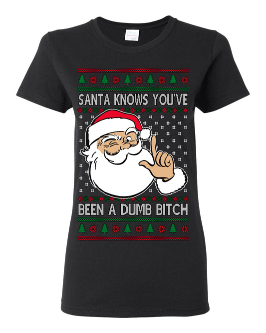 Santa Knows You've Been a Dumb Bitch Funny Vulgar Dirty Ugly Christmas Sweater Ugly Christmas Womens Graphic T-Shirt