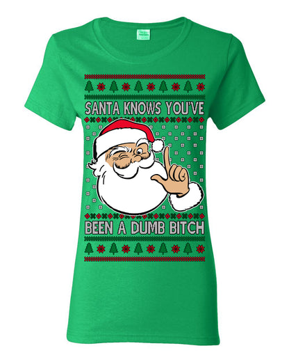 Santa Knows You've Been a Dumb Bitch Funny Vulgar Dirty Ugly Christmas Sweater Ugly Christmas Womens Graphic T-Shirt