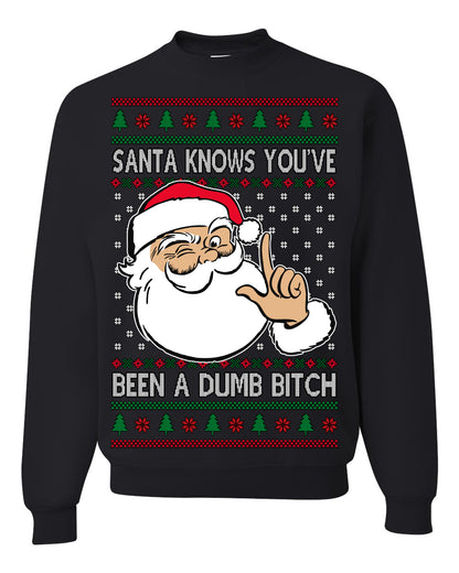 Santa Knows You've Been a Dumb Bitch Funny Vulgar Dirty Ugly Christmas Sweater Ugly Christmas Men's T-Shirt