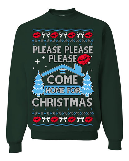 Please Please Please Come Home for Xmas, Sabrina Fan Viral Pop Song Concert Tour Merch, Ugly Christmas Sweater Ugly Christmas Unisex Crewneck Sweatshirt