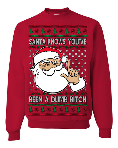 Santa Knows You've Been a Dumb Bitch Funny Vulgar Dirty Ugly Christmas Sweater Ugly Christmas Men's T-Shirt