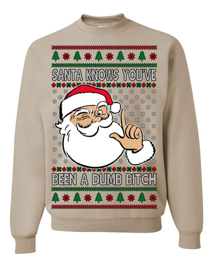 Santa Knows You've Been a Dumb Bitch Funny Vulgar Dirty Ugly Christmas Sweater Ugly Christmas Men's T-Shirt