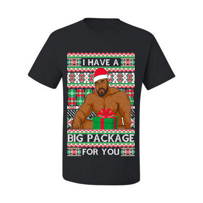 Meme Christmas Ugly T-shirt Barry Wood I have a Big Package Ugly Christmas T-shirt  Ugly Christmas  Men's T-Shirt