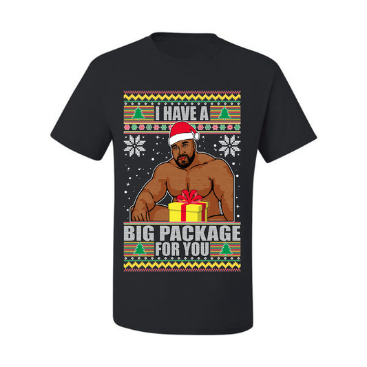 Graphic Meme Ugly Christmas  T-shirt  "I Have A Big Package" Ugly Christmas T-shirt  Ugly Christmas  Men's T-Shirt