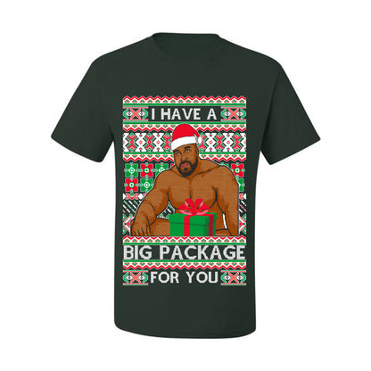 Meme Christmas Ugly T-shirt Barry Wood I have a Big Package Ugly Christmas T-shirt  Ugly Christmas  Men's T-Shirt