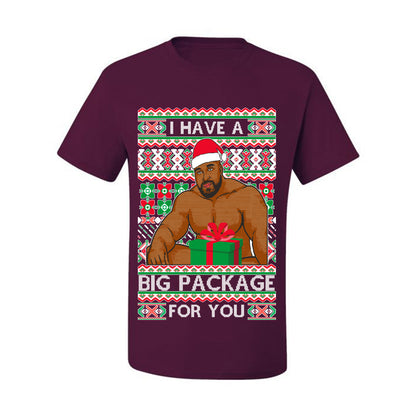 Meme Christmas Ugly T-shirt Barry Wood I have a Big Package Ugly Christmas T-shirt  Ugly Christmas  Men's T-Shirt