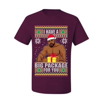 Graphic Meme Ugly Christmas  T-shirt  "I Have A Big Package" Ugly Christmas T-shirt  Ugly Christmas  Men's T-Shirt