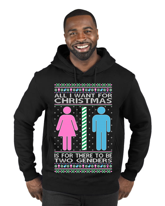 Two Genders For Christmas is All I Want, Christmas Gifts, Funny Xmas Gift Idea Ugly Christmas Sweater Premium Graphic Hoodie Sweatshirt