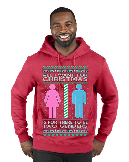 Two Genders For Christmas is All I Want, Christmas Gifts, Funny Xmas Gift Idea Ugly Christmas Sweater Premium Graphic Hoodie Sweatshirt