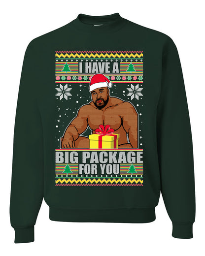 Graphic Meme Ugly Christmas Crewneck Sweater Sweatshirt "I Have A Big Package" Ugly Christmas Sweater Unisex Crewneck Sweatshirt